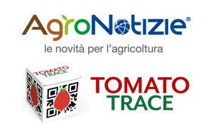 Tomato Trace 4.0, rilevare l’impronta della terra nel Pomodorino Dop