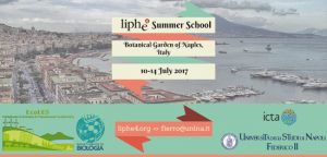 The 2017 edition of the LIPHE4 Summer School